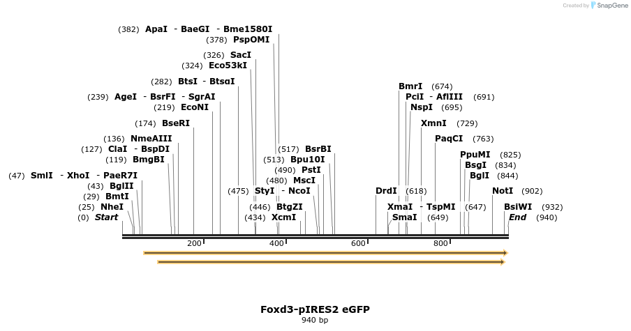 49490_map