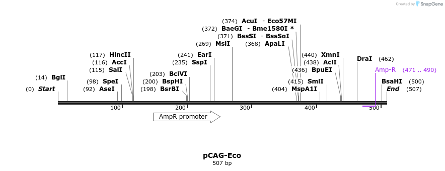 49495_map