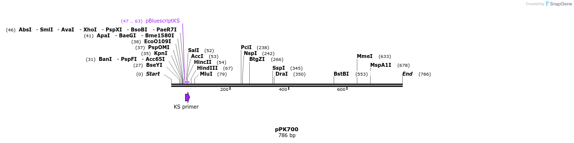 49496_map