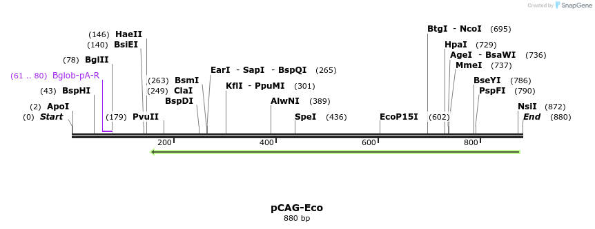 49497_map