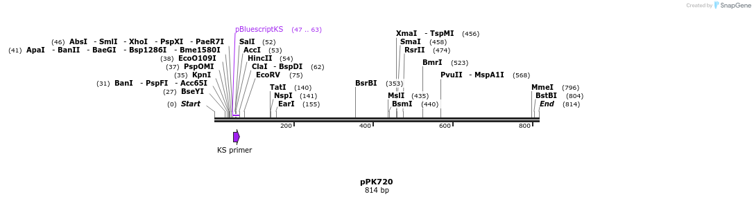 49498_map