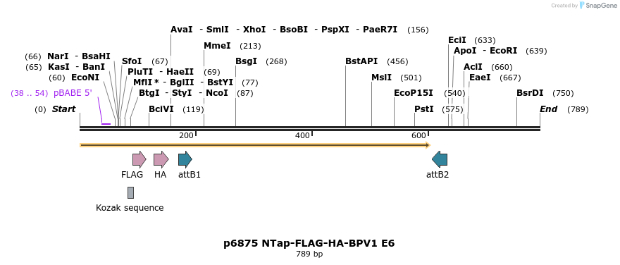 49500_map