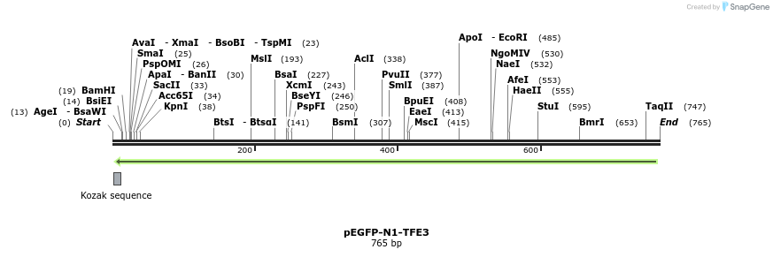 49503_map