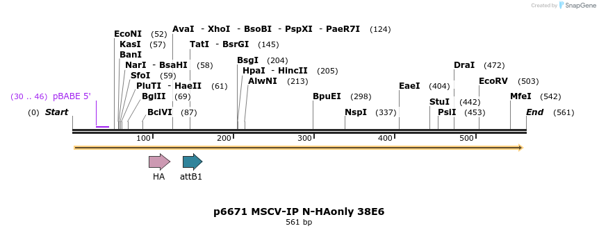 49504_map