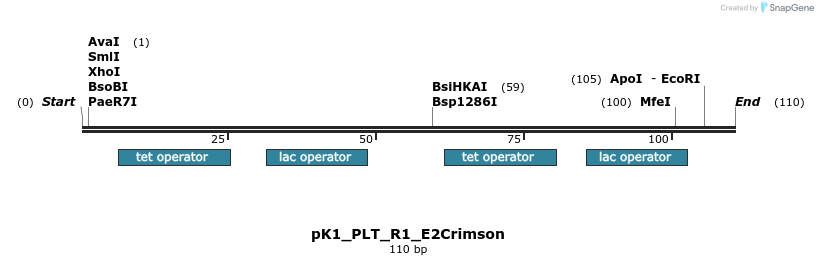 495046_map