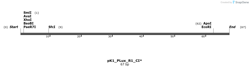 495048_map