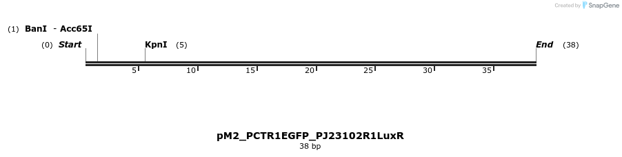 495052_map