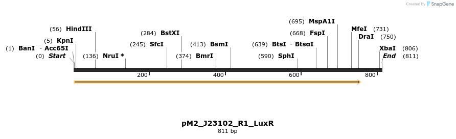 495055_map