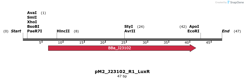 495056_map