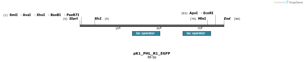 495058_map