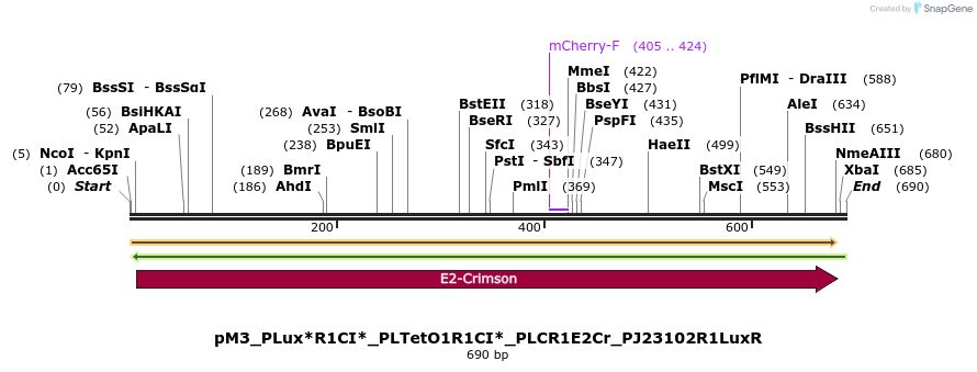 495061_map