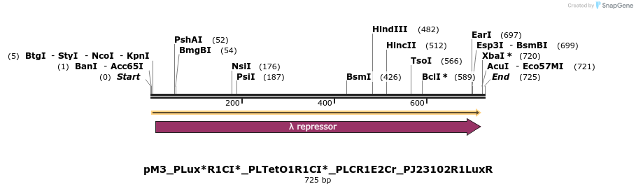 495062_map