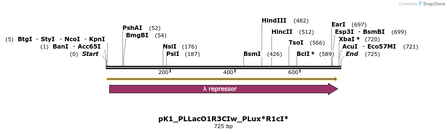 495063_map