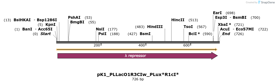 495064_map