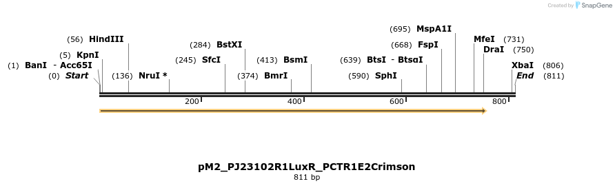 495066_map
