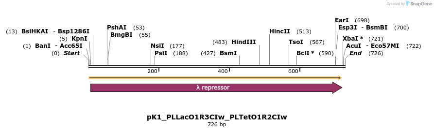 495067_map