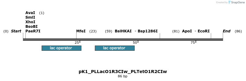 495068_map