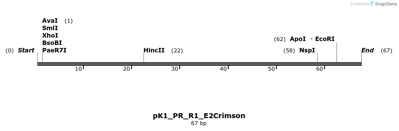 495074_map