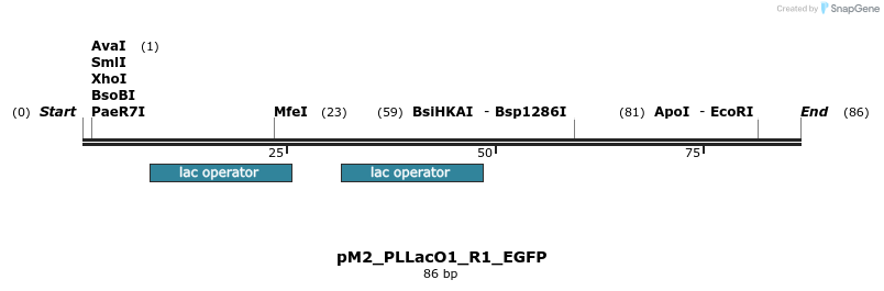 495076_map