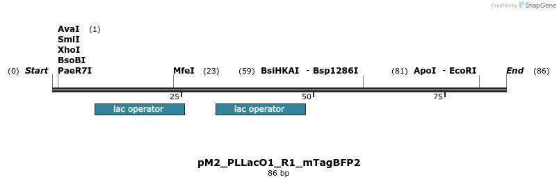 495078_map