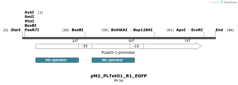 495080_map