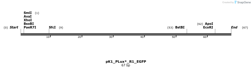 495084_map
