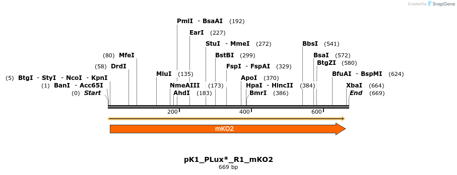 495085_map