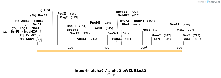 49512_map