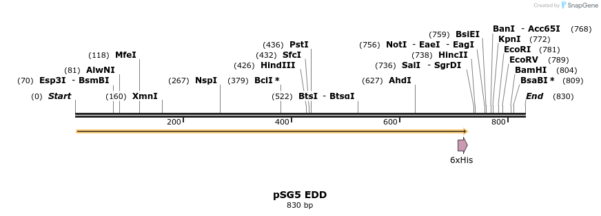 49513_map