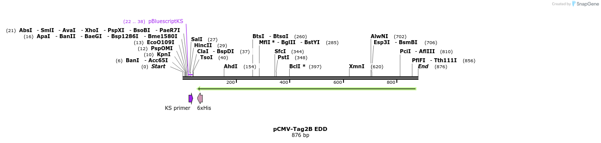 49515_map