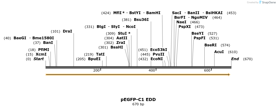 49517_map