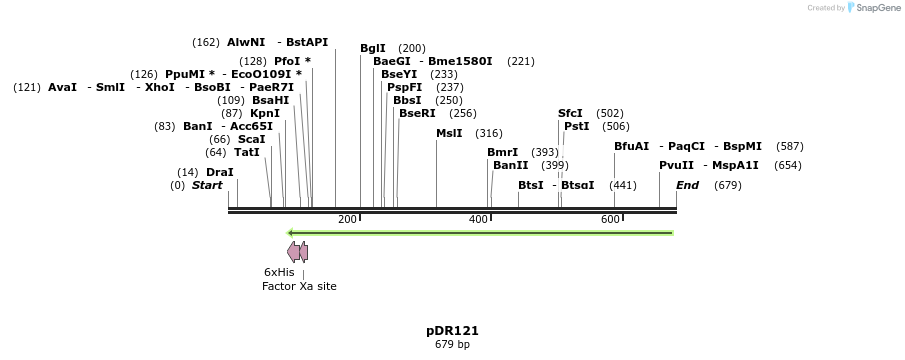 49524_map