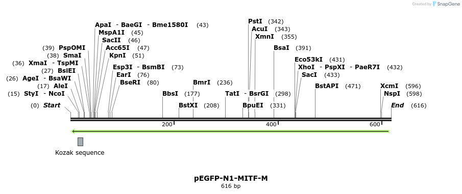 49526_map