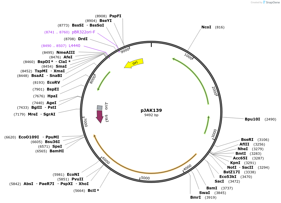 495303_map
