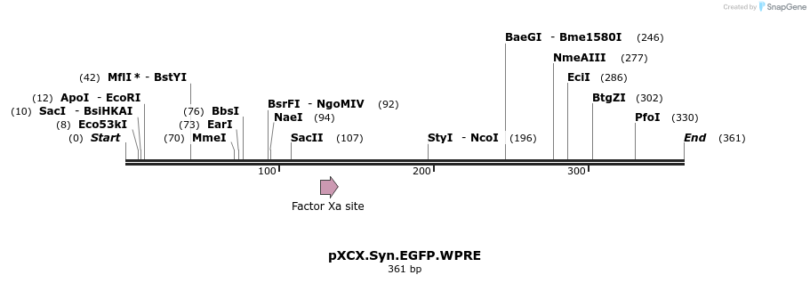49536_map
