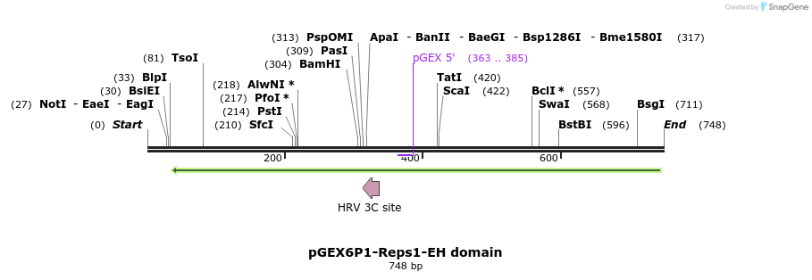 49541_map