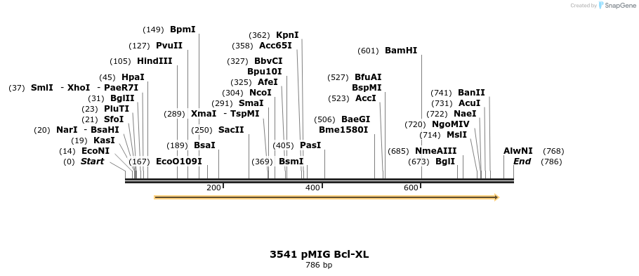 49544_map
