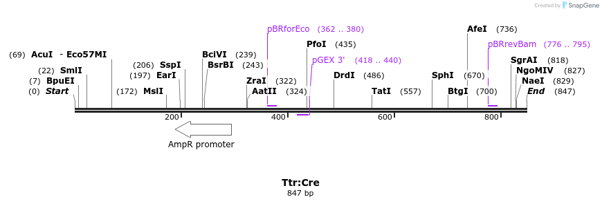 49559_map