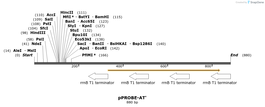 49566_map