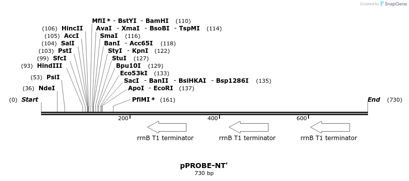 49572_map