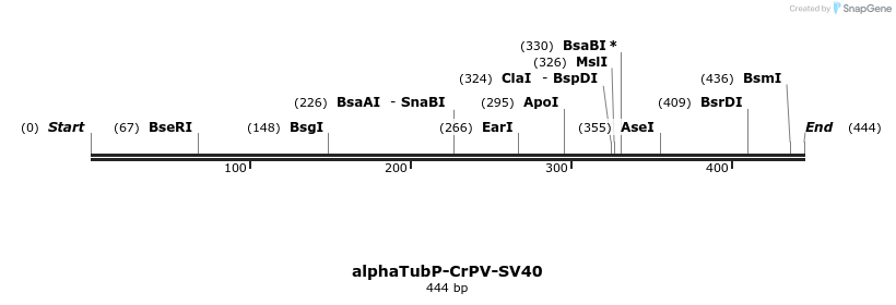 495751_map