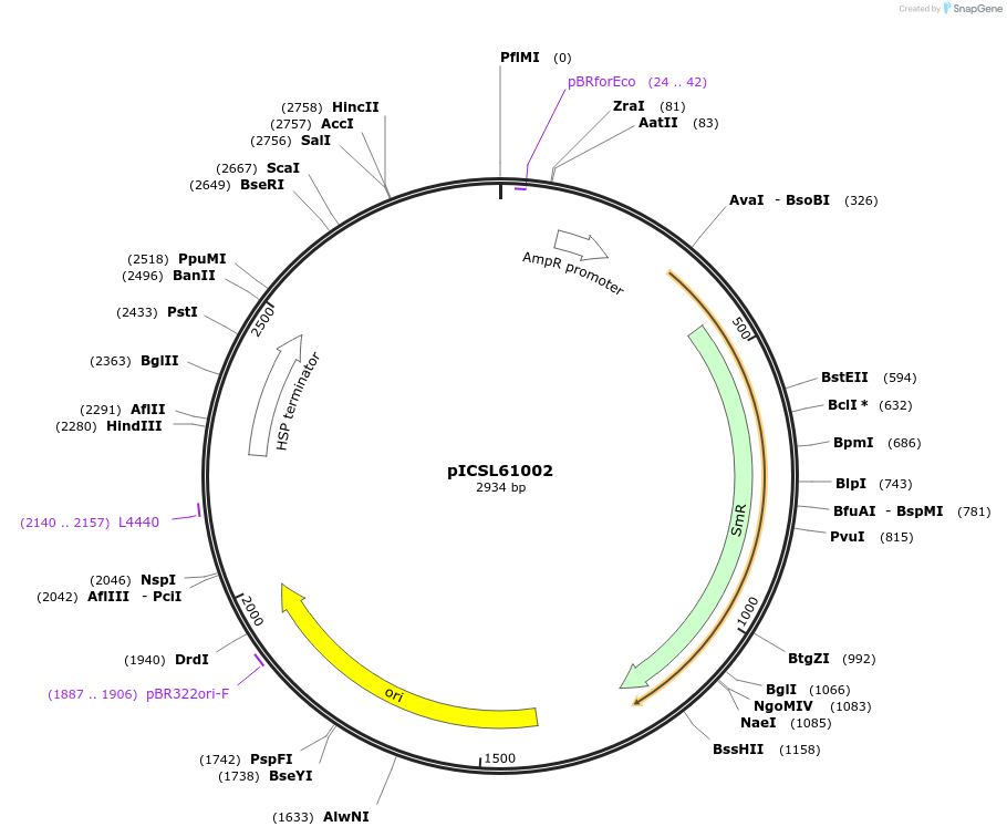 245679-plasmid-map-sequence-id-495770