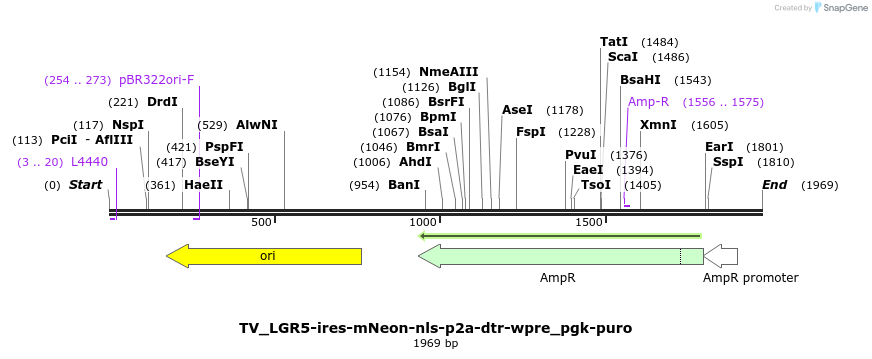 495776_map