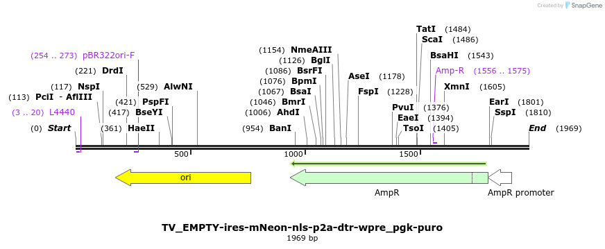 495778_map