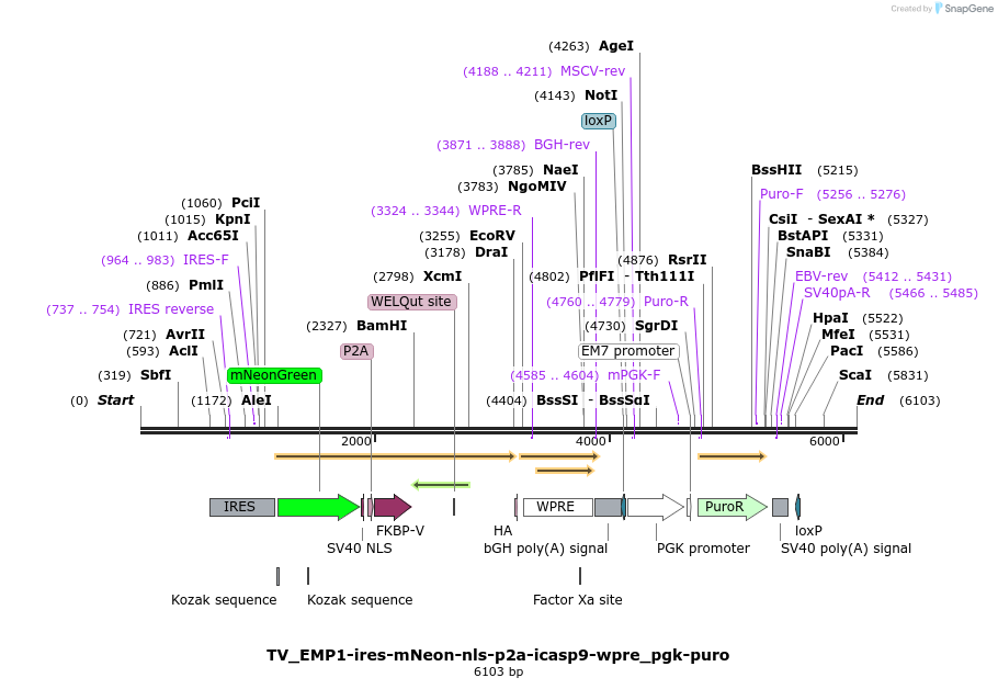 495779_map