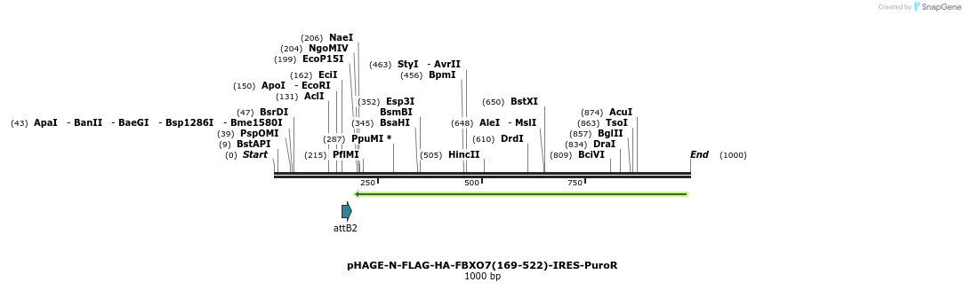 495798_map