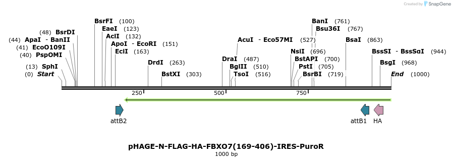 495800_map