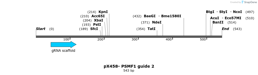 495812_map