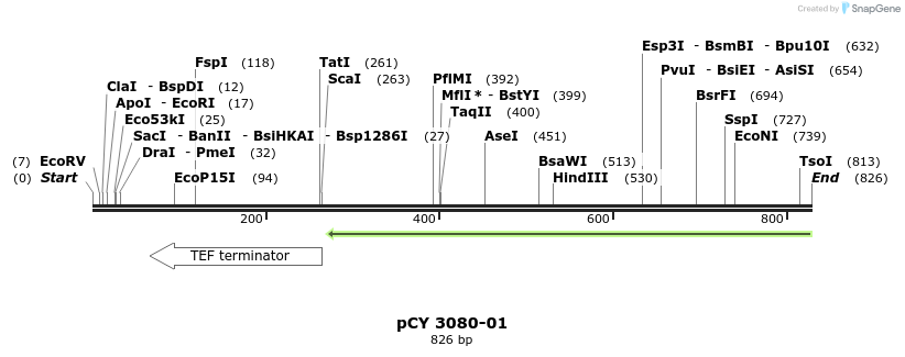 49582_map