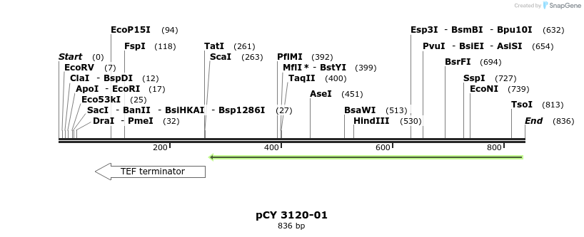49583_map